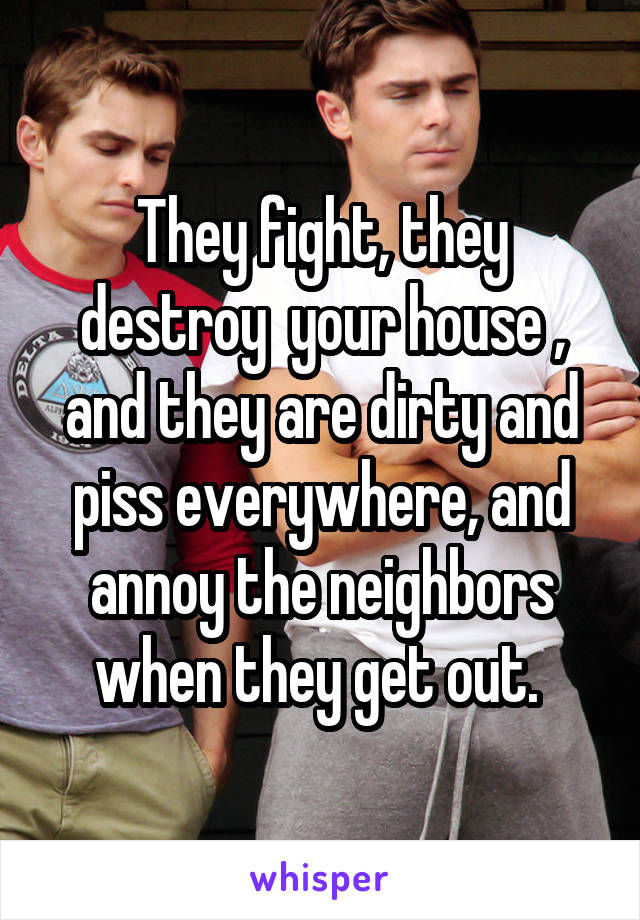 They fight, they destroy  your house , and they are dirty and piss everywhere, and annoy the neighbors when they get out. 