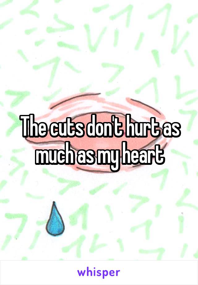 The cuts don't hurt as much as my heart