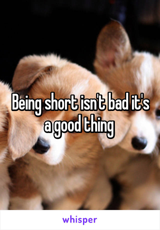 Being short isn't bad it's a good thing 