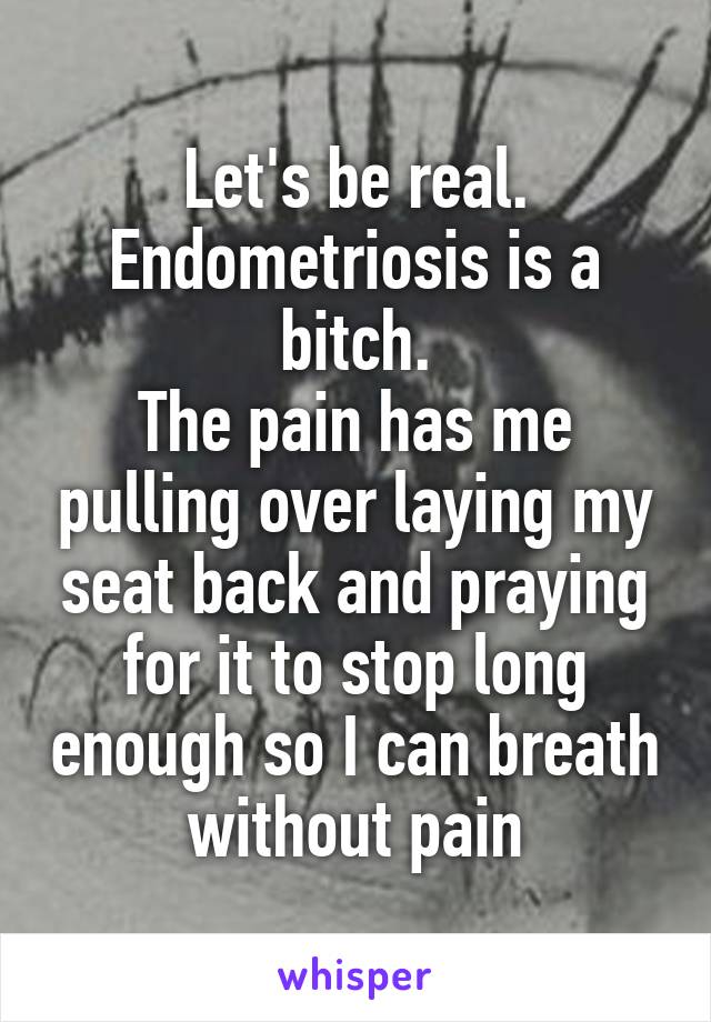 Let's be real.
Endometriosis is a bitch.
The pain has me pulling over laying my seat back and praying for it to stop long enough so I can breath without pain