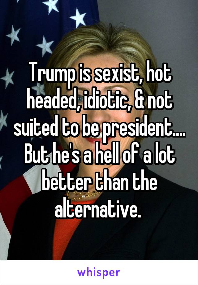 Trump is sexist, hot headed, idiotic, & not suited to be president.... But he's a hell of a lot better than the alternative. 