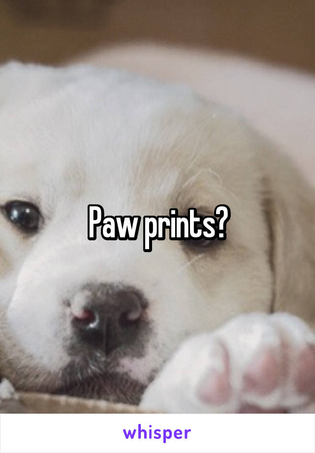 Paw prints?