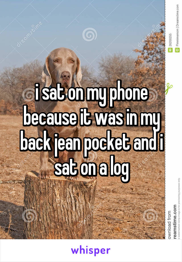 i sat on my phone because it was in my back jean pocket and i sat on a log