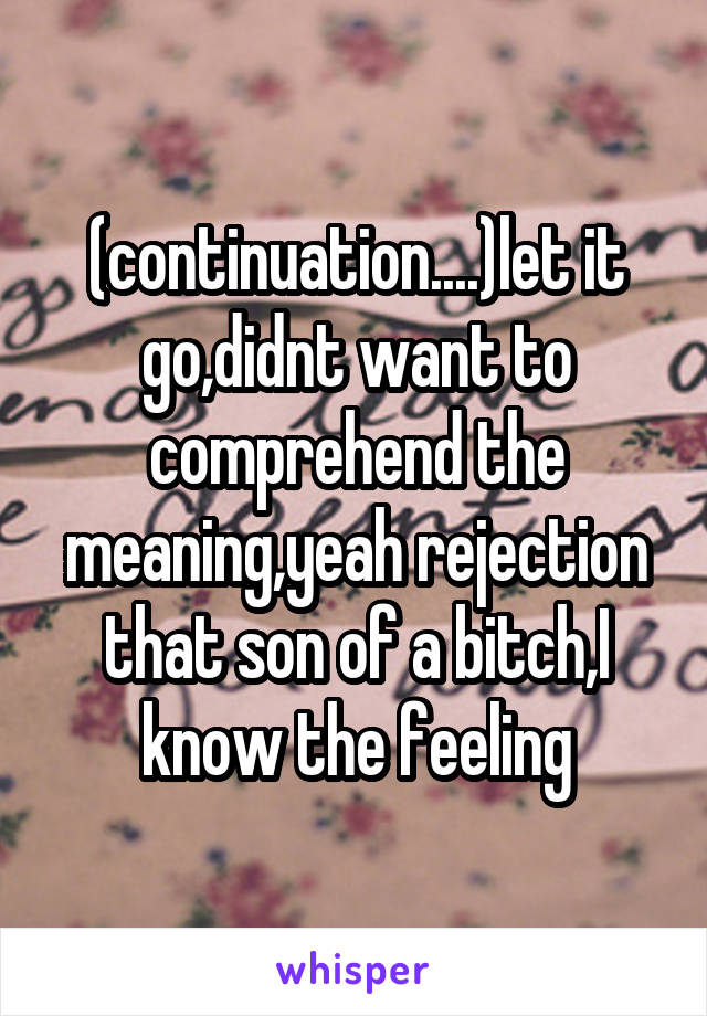 (continuation....)let it go,didnt want to comprehend the meaning,yeah rejection that son of a bitch,I know the feeling