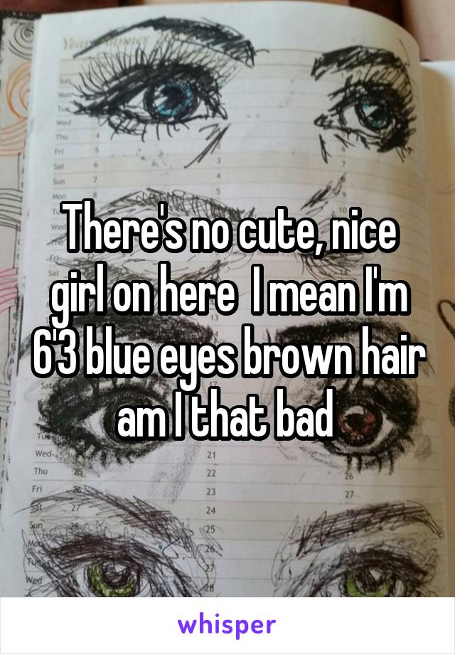 There's no cute, nice girl on here  I mean I'm 6'3 blue eyes brown hair am I that bad 