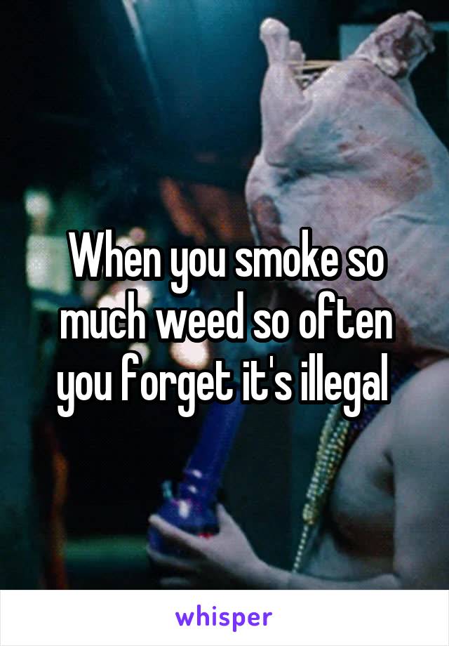 When you smoke so much weed so often you forget it's illegal 