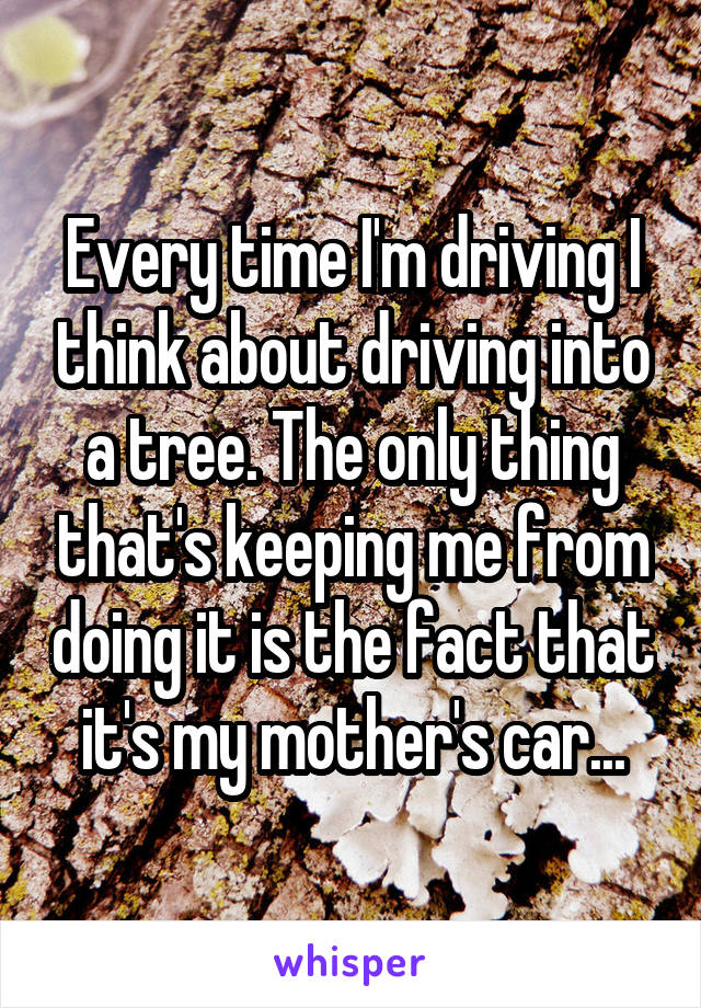 Every time I'm driving I think about driving into a tree. The only thing that's keeping me from doing it is the fact that it's my mother's car...