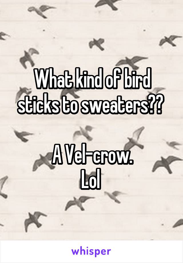 What kind of bird sticks to sweaters?? 

A Vel-crow.
Lol 