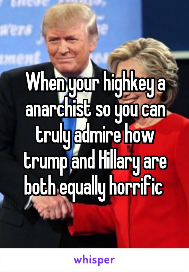 When your highkey a anarchist so you can truly admire how trump and Hillary are both equally horrific 