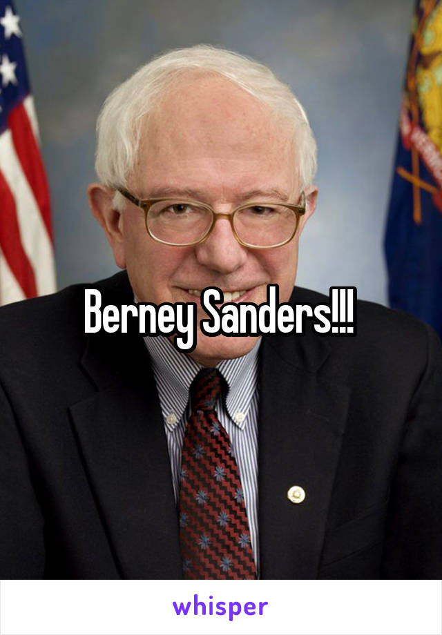 Berney Sanders!!! 