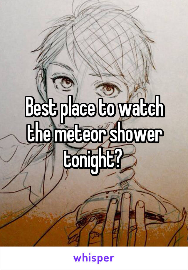 Best place to watch the meteor shower tonight? 