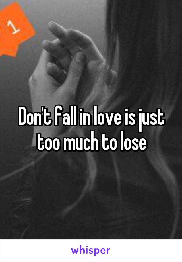 Don't fall in love is just too much to lose