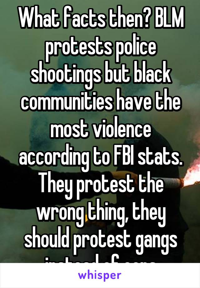 What facts then? BLM protests police shootings but black communities have the most violence according to FBI stats. They protest the wrong thing, they should protest gangs instead of cops