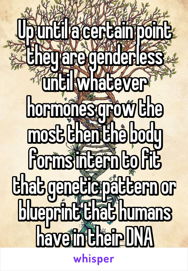 Up until a certain point they are genderless until whatever hormones grow the most then the body forms intern to fit that genetic pattern or blueprint that humans have in their DNA