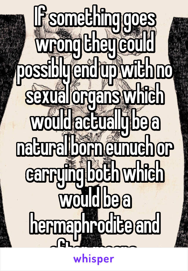 If something goes wrong they could possibly end up with no sexual organs which would actually be a natural born eunuch or carrying both which would be a hermaphrodite and often means 
