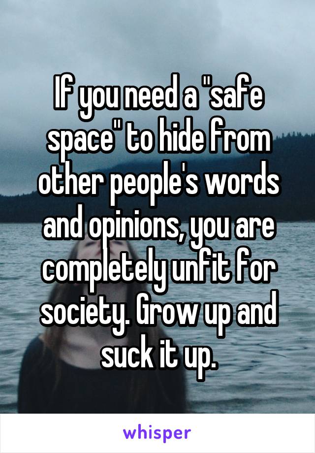 If you need a "safe space" to hide from other people's words and opinions, you are completely unfit for society. Grow up and suck it up.