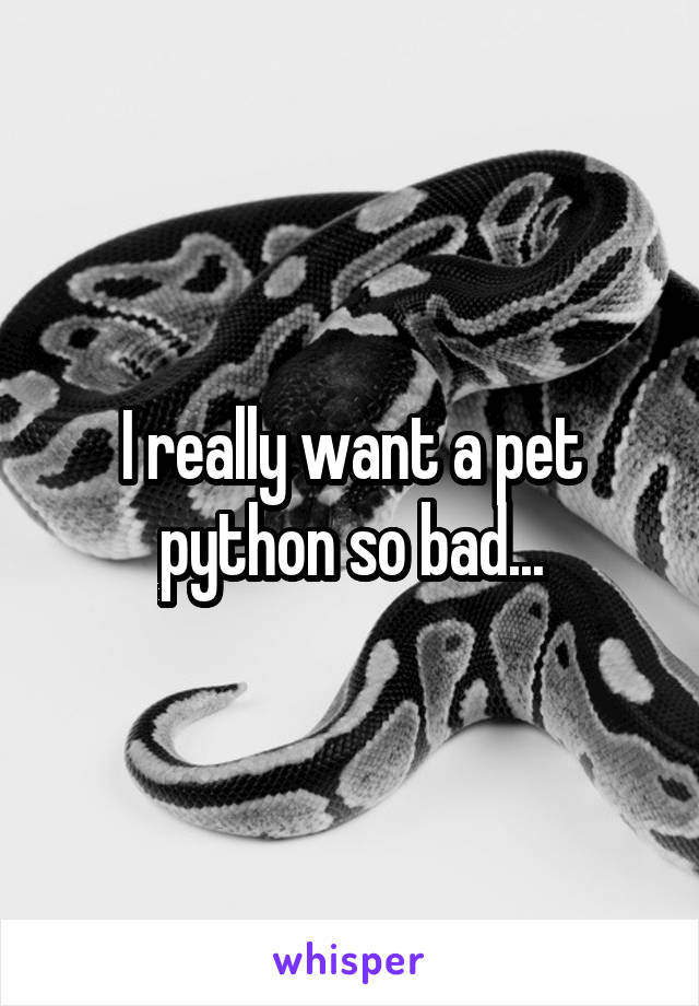 I really want a pet python so bad...