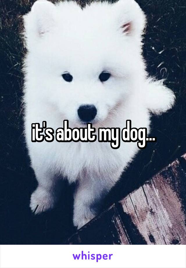 it's about my dog...