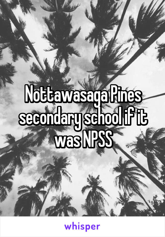 Nottawasaga Pines secondary school if it was NPSS