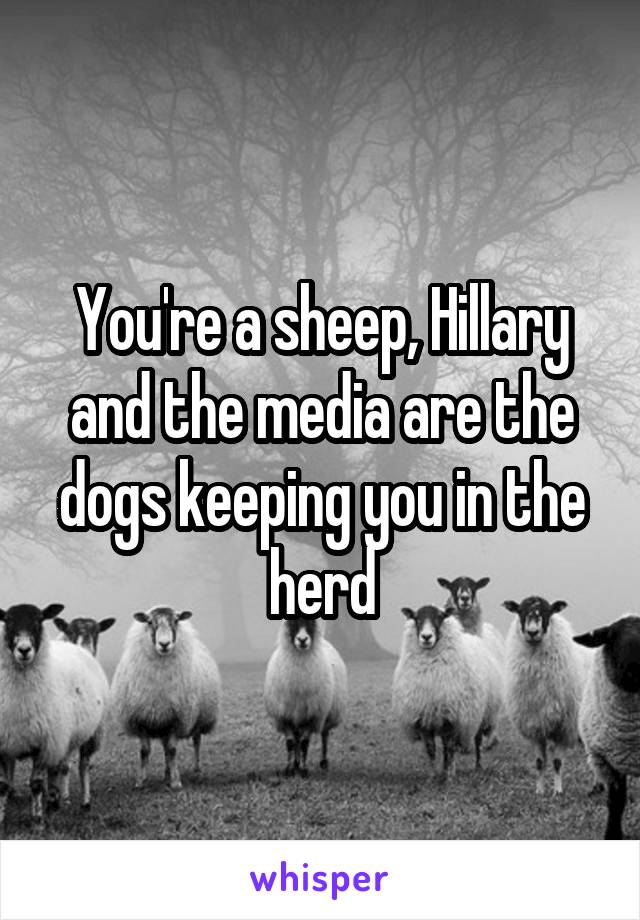 You're a sheep, Hillary and the media are the dogs keeping you in the herd