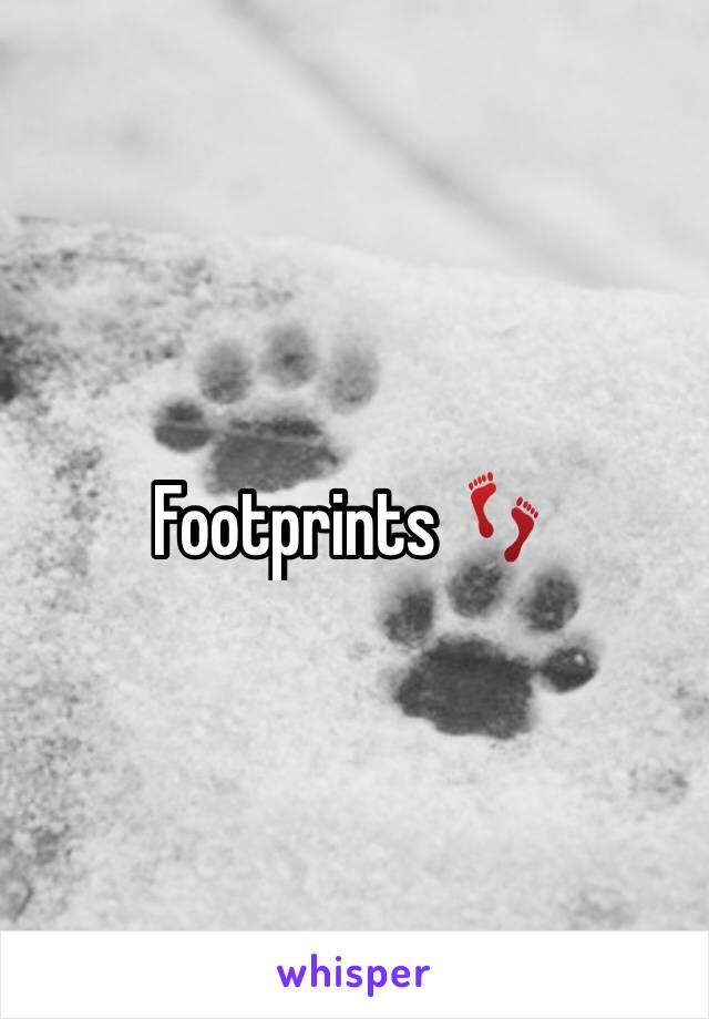 Footprints 👣 