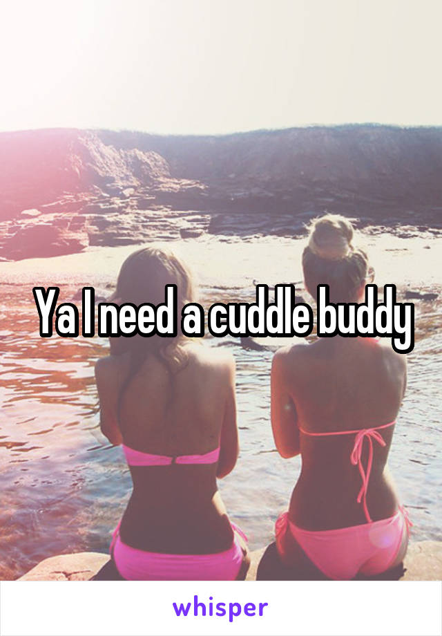 Ya I need a cuddle buddy