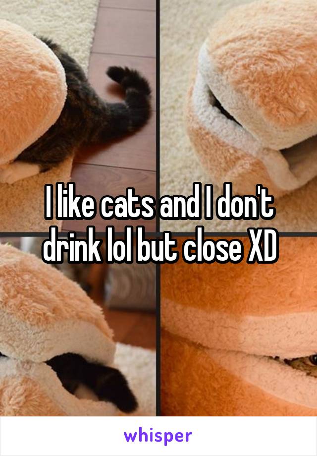 I like cats and I don't drink lol but close XD