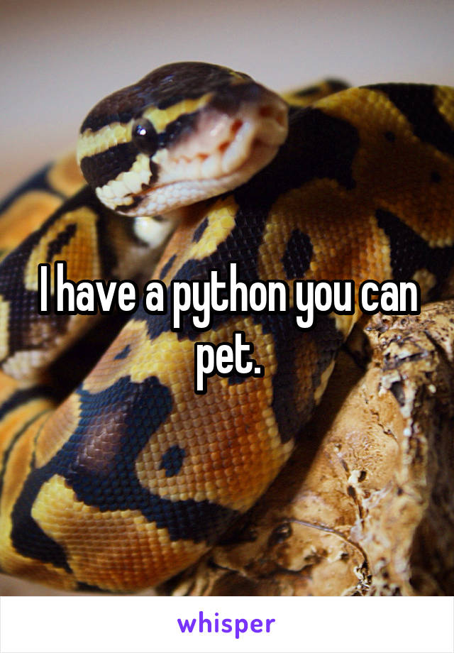 I have a python you can pet.