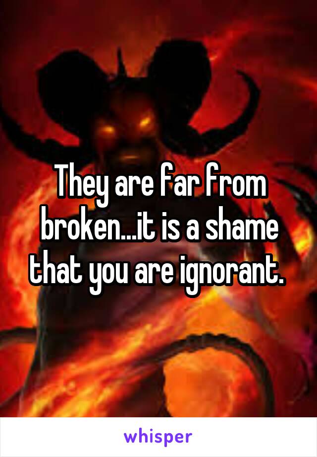 They are far from broken...it is a shame that you are ignorant. 