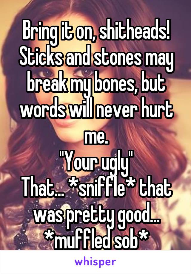 Bring it on, shitheads! Sticks and stones may break my bones, but words will never hurt me.
"Your ugly"
That... *sniffle* that was pretty good... *muffled sob*