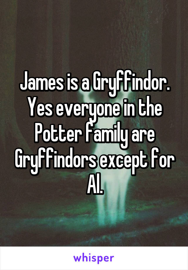 James is a Gryffindor. Yes everyone in the Potter family are Gryffindors except for Al.