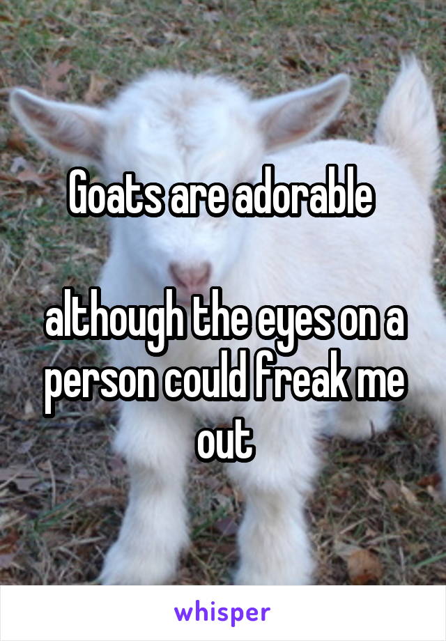 Goats are adorable 

although the eyes on a person could freak me out