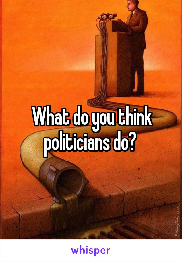 What do you think politicians do? 