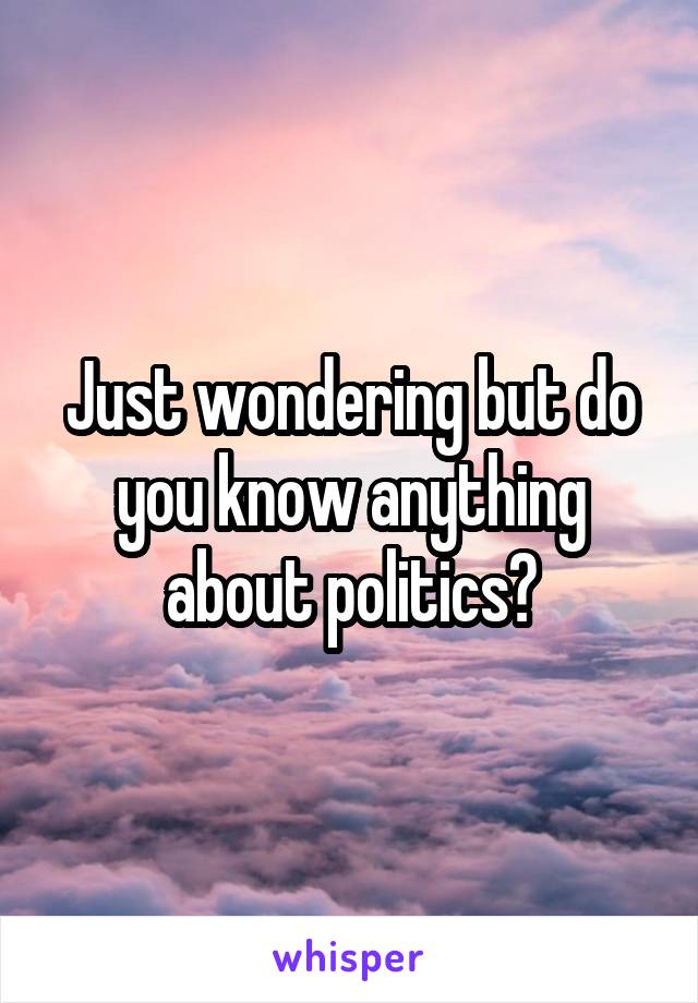 Just wondering but do you know anything about politics?