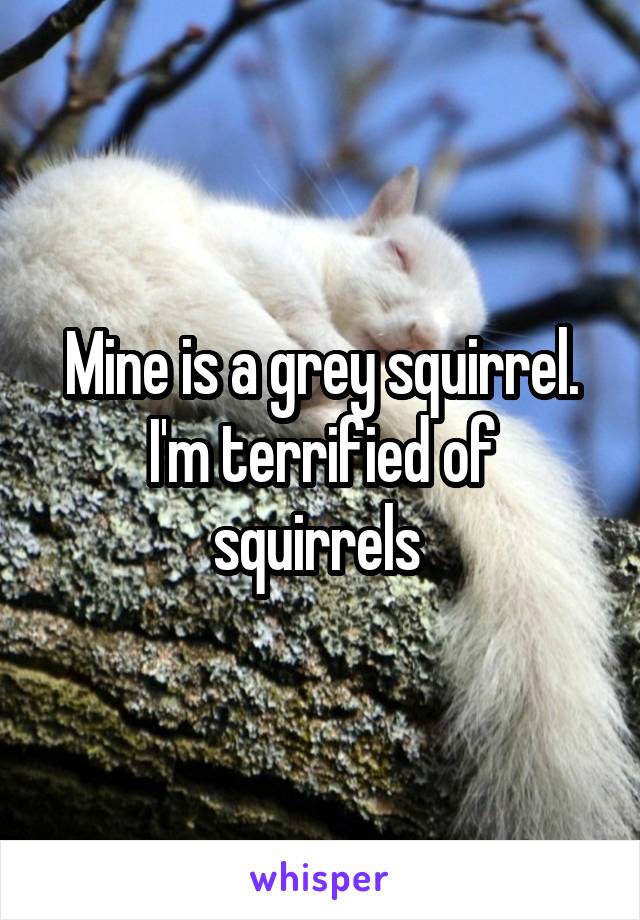 Mine is a grey squirrel. I'm terrified of squirrels 