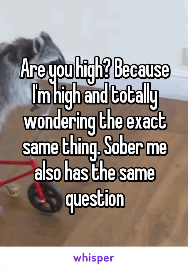 Are you high? Because I'm high and totally wondering the exact same thing. Sober me also has the same question