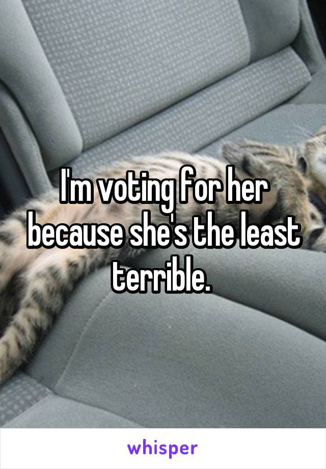 I'm voting for her because she's the least terrible. 