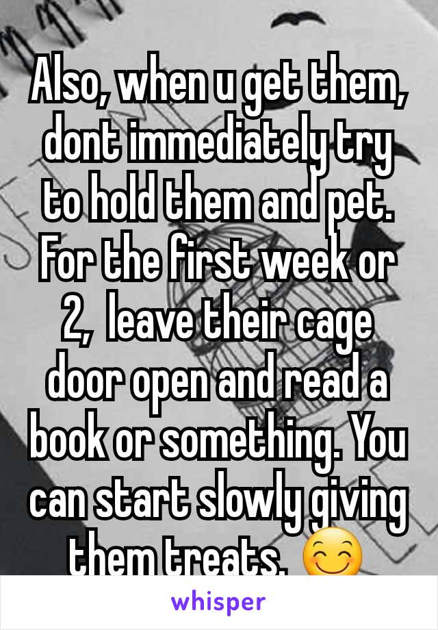 Also, when u get them, dont immediately try to hold them and pet. For the first week or 2,  leave their cage door open and read a book or something. You can start slowly giving them treats. 😊