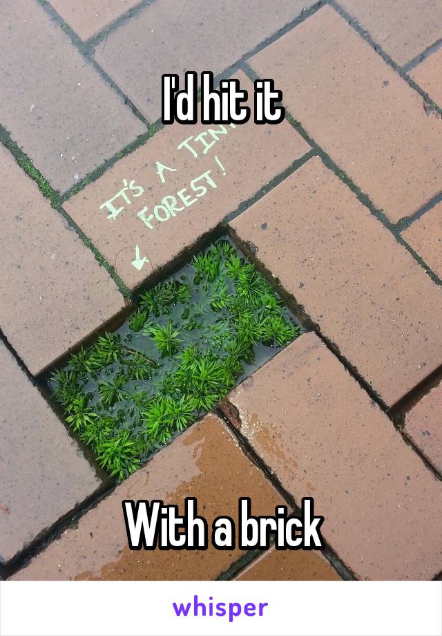 I'd hit it






With a brick