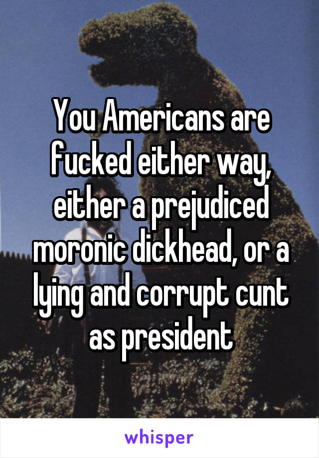 You Americans are fucked either way, either a prejudiced moronic dickhead, or a lying and corrupt cunt as president