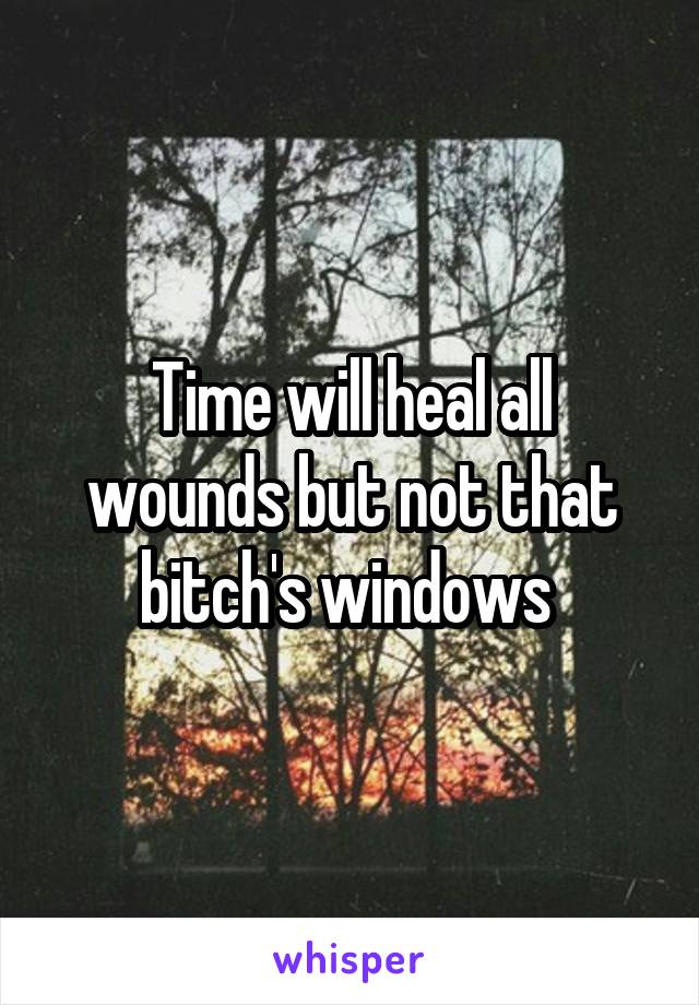 Time will heal all wounds but not that bitch's windows 