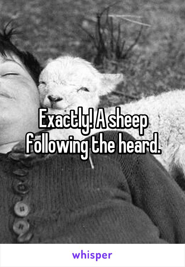 Exactly! A sheep following the heard.