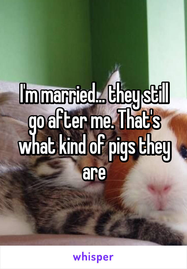 I'm married... they still go after me. That's what kind of pigs they are