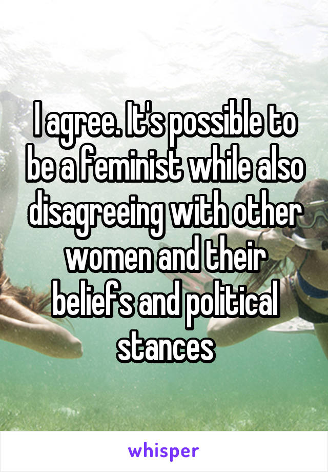 I agree. It's possible to be a feminist while also disagreeing with other women and their beliefs and political stances