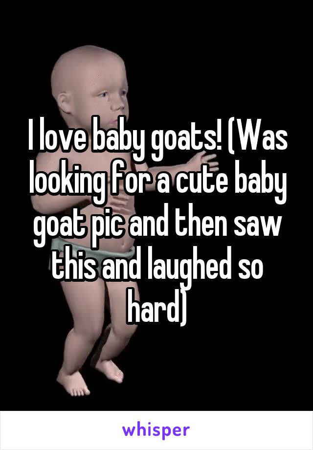 I love baby goats! (Was looking for a cute baby goat pic and then saw this and laughed so hard)