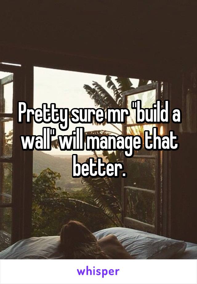 Pretty sure mr "build a wall" will manage that better.