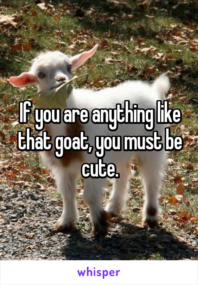 If you are anything like that goat, you must be cute.