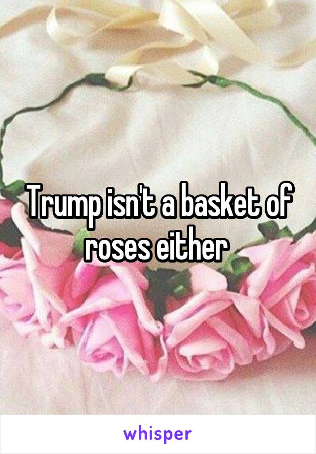 Trump isn't a basket of roses either 