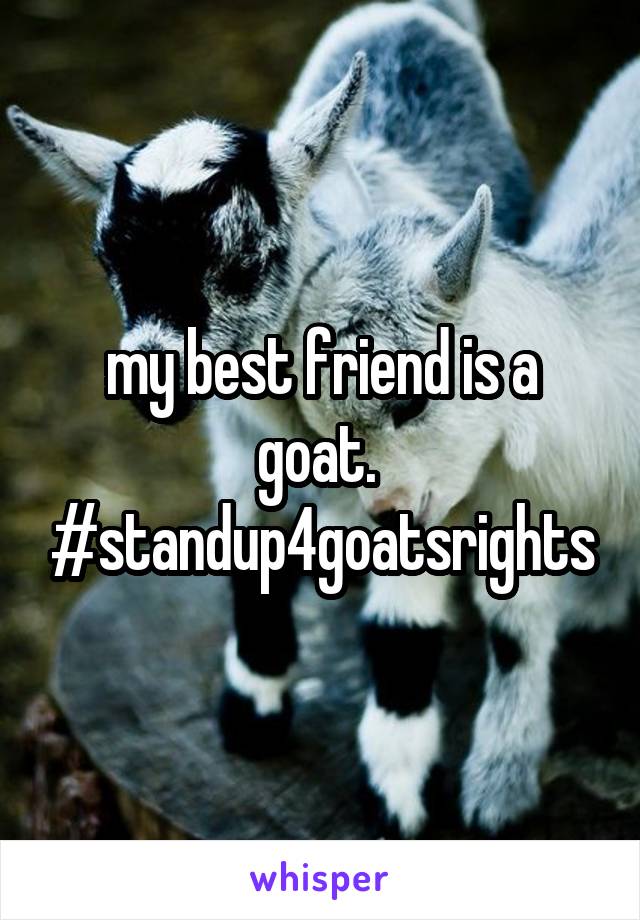 my best friend is a goat. 
#standup4goatsrights