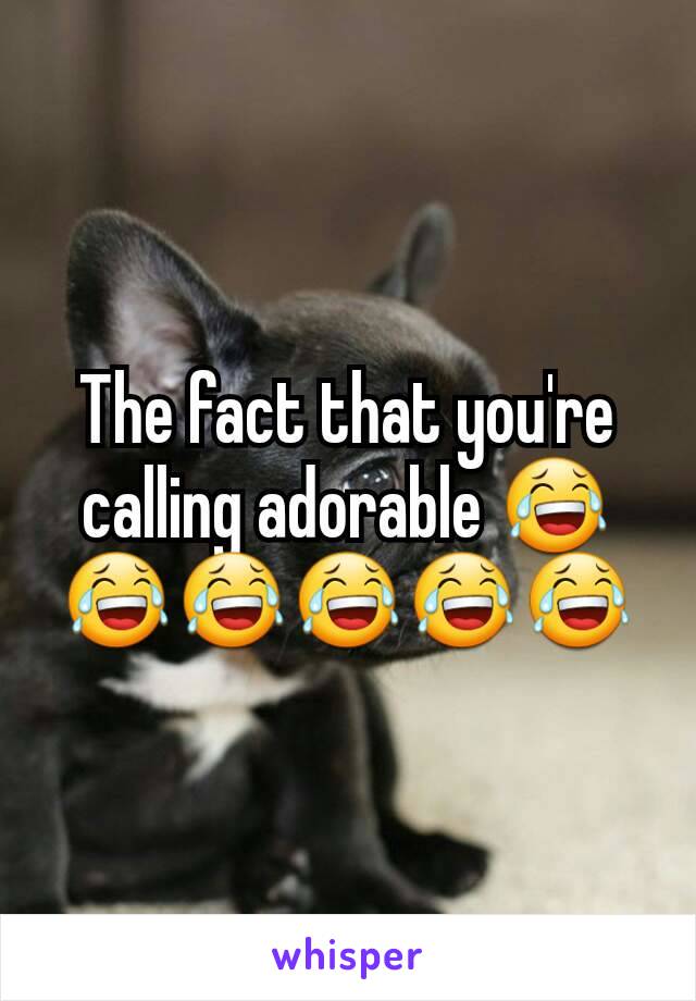 The fact that you're calling adorable 😂😂😂😂😂😂